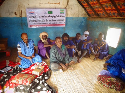 formation auxilaire veter.jpg